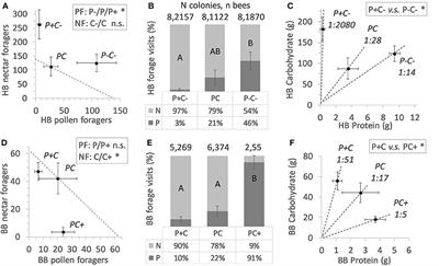 Individual and Colony Level Foraging Decisions of Bumble Bees and Honey Bees in Relation to Balancing of Nutrient Needs